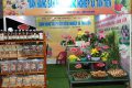 ☘️☘️☘️  HỘI CHỢ THƯƠNG MẠI NÔNG NGHIỆP TRÁI CÂY HUYỆN KRÔNG PĂC NĂM 2020☘️☘️☘️sẽ diễn ra từ ngày 29/9-05/10/2020.  Mọi người hãy đến thăm và ghé gian hàng sản phẩm nông nghiệp của địa phương Tân Tiến nhé.  Rất nhiều mặt hàng đa dạng như: Bưởi, bơ boot, ổi Lê, chanh giấy, cam sành, khoai môn, khoai từ, Gừng, mật ong, phấn hoa… Đặc biệt còn có hạt điều sấy, tinh dầu điều mang thương hiệu Ngọc Quyền ( Thôn 1 xã Tân Tiến) và tinh bột nghệ , tinh dầu dừa mang thương hiệu Kim Thoa ( Thôn 3- Tân Tiến) …. Sản phẩm được chính tay người  dân Tân Tiến trồng trọt, chăm sóc và chế biến nên đảm bảo an toàn cho người tiêu dùng. ❣️